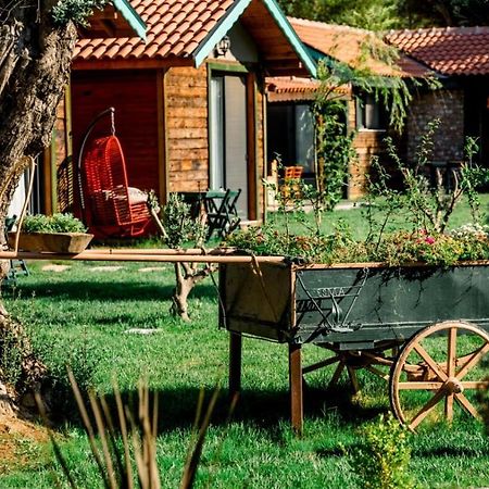 フォチャ Serender Bungalov Bed & Breakfast エクステリア 写真