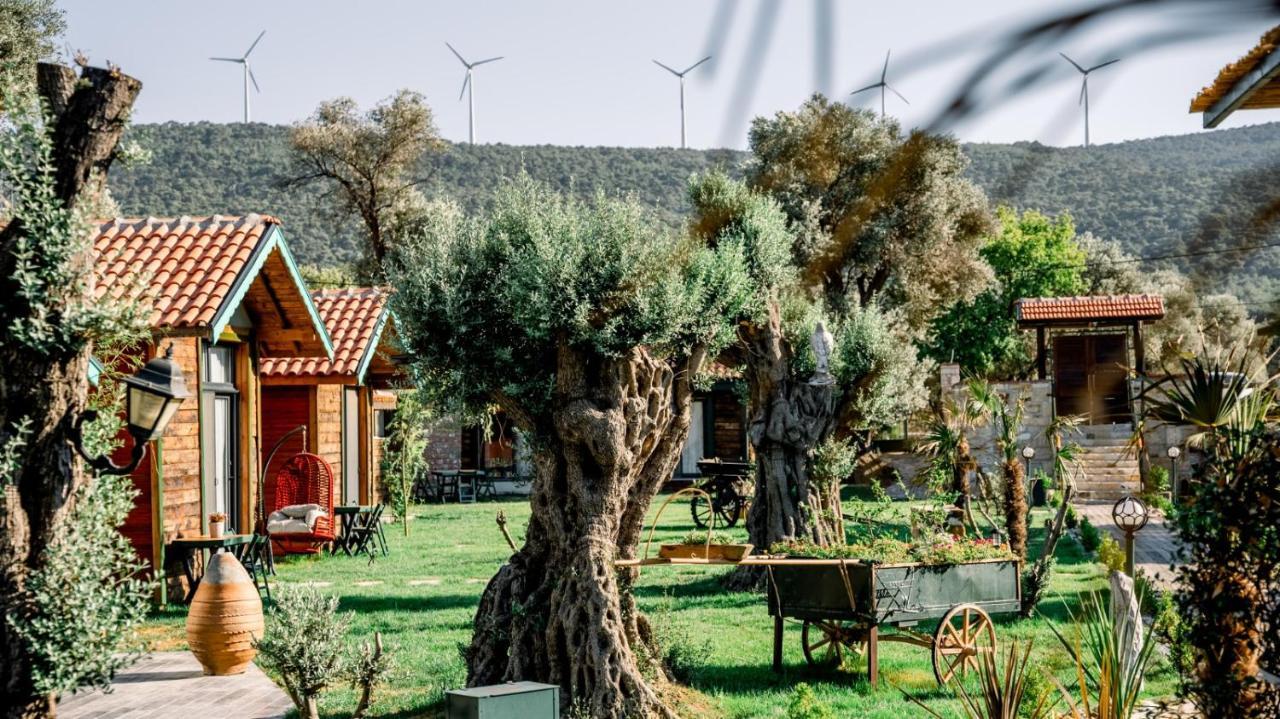 フォチャ Serender Bungalov Bed & Breakfast エクステリア 写真